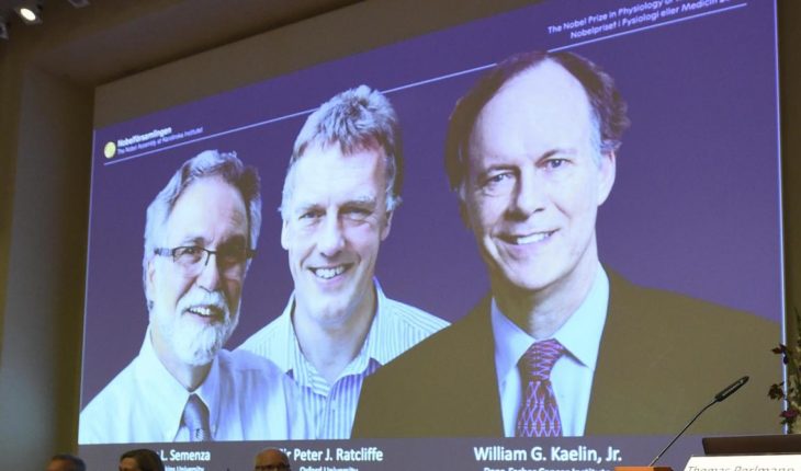 Nobel de médecine 2019 : trois spécialistes de l’oxygénation des cellules récompensés