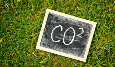 Des chercheurs Israéliens créent une bactérie « révolutionnaire » qui se nourrit du CO2 Des chercheurs Israéliens créent une bactérie « révolutionnaire » qui se nourrit du CO2