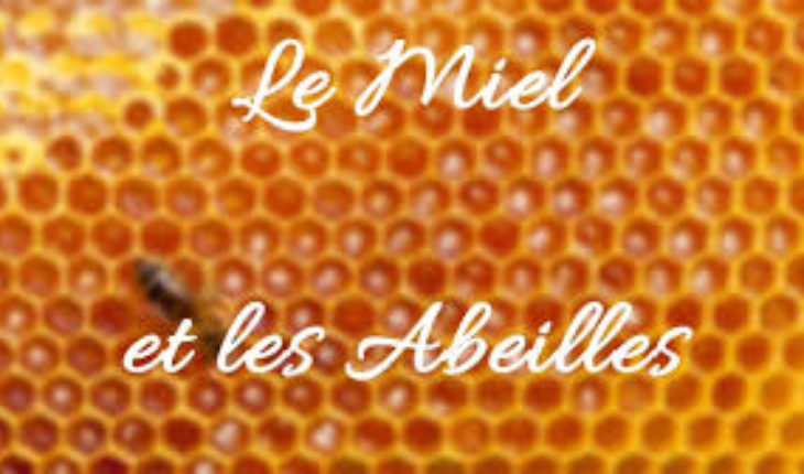 Une équipe de chercheurs israéliens remporte un concours international en produisant du miel sans abeilles