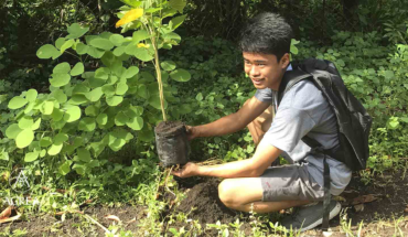 Philippine : une loi oblige les étudiants à planter des arbres pour obtenir leur diplôme Philippine : une loi oblige les étudiants à planter des arbres pour obtenir leur diplôme