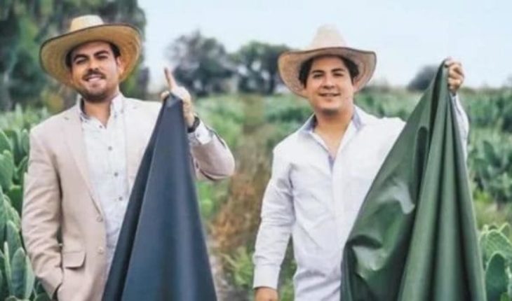 Le cuir de cactus pourra remplacer le cuir animal