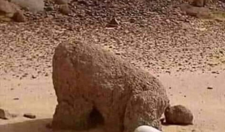 وباء « كورونا »… وعلامات الساعة