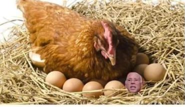 Chez le président, la poule ne veut plus continuer à se casser le cul Chez le président, la poule ne veut plus continuer à se casser le cul