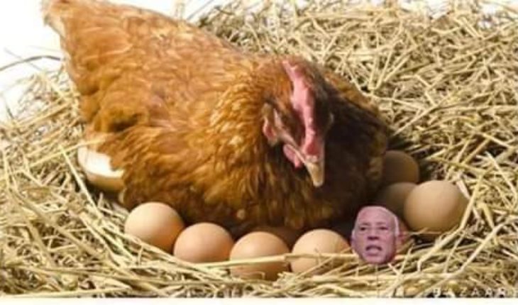 Chez le président, la poule ne veut plus continuer à se casser le cul