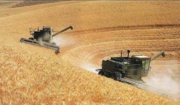 Covid-19 : La Russie suspend l’exportation de ses céréales jusqu’au 1er juillet Covid-19 : La Russie suspend l’exportation de ses céréales jusqu’au 1er juillet