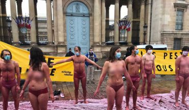 France : Action coup de poing contre la réintroduction des néonicotinoïdes France : Action coup de poing contre la réintroduction des néonicotinoïdes
