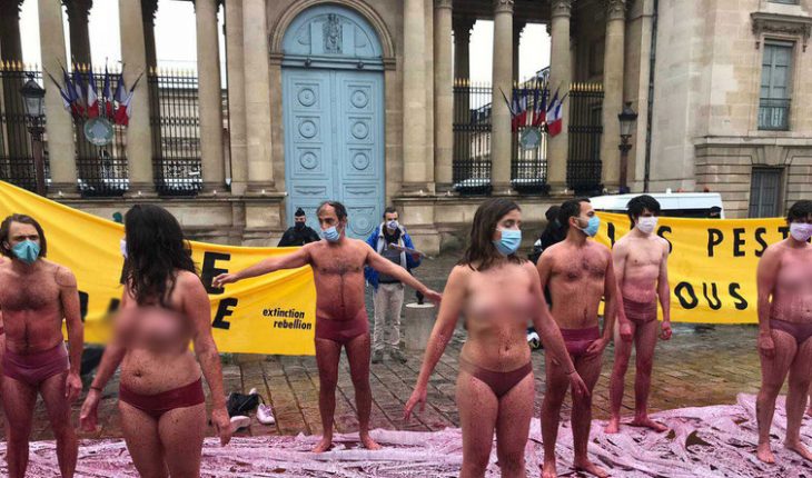 France : Action coup de poing contre la réintroduction des néonicotinoïdes