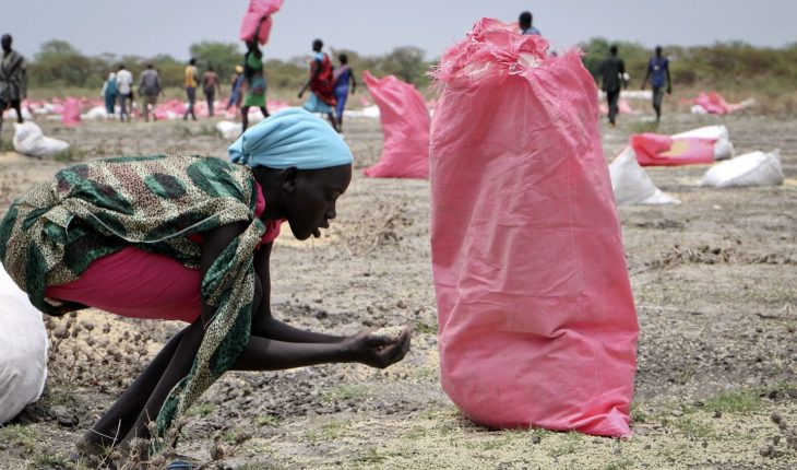 Le Prix Nobel de la paix 2020 attribué au Programme alimentaire mondial (PAM)