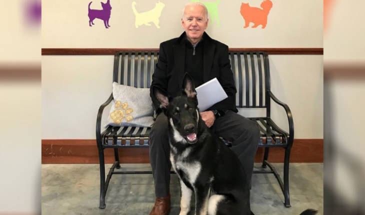 Etats-Unis  : Joe Biden s’est fracturé le pied en jouant avec son chien