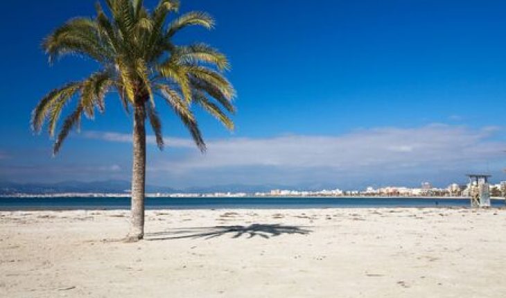 Djerba me manque
