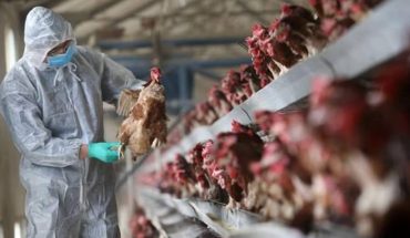 روسيا تفرض حظرا على استيراد بعض المنتجات الفلاحية من الجزائر بسبب تفشي إنفلونزا الطيور روسيا تفرض حظرا على استيراد بعض المنتجات الفلاحية من الجزائر بسبب تفشي إنفلونزا الطيور