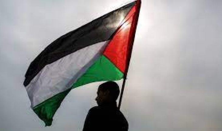 Ma Palestine à moi
