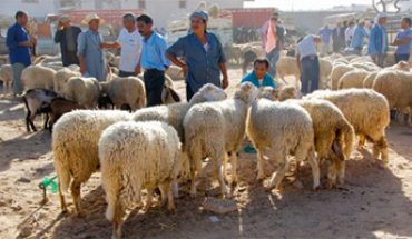 عيد استثنائي بكل المقاييس : تحسّن الوضع الصحّي وارد… انفراج الأزمة السياسية صعب عيد استثنائي بكل المقاييس : تحسّن الوضع الصحّي وارد… انفراج الأزمة السياسية صعب