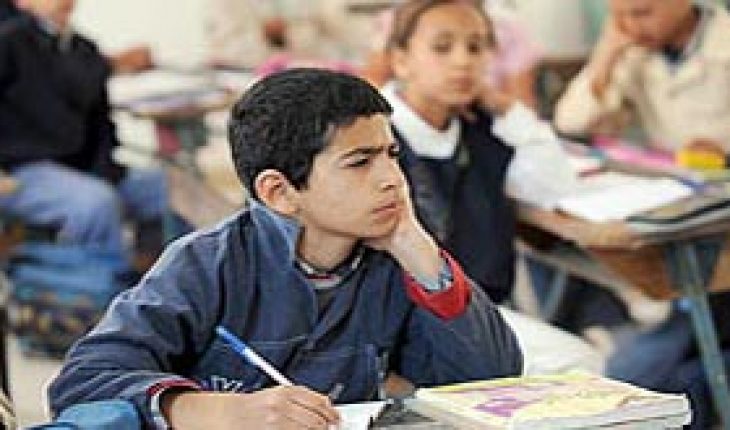التعليم ، الثقافة وصناعة العقول
