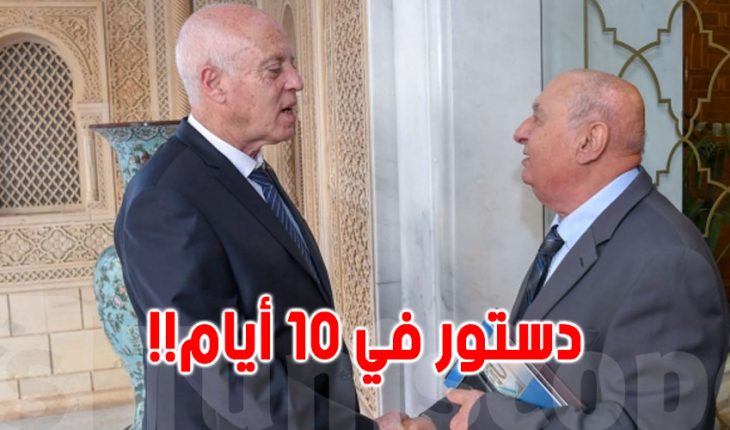 سامي الطاهري يؤكد أن الصادق بلعيد انتفع من النهضة وتودد إليها مباشرة وخفية