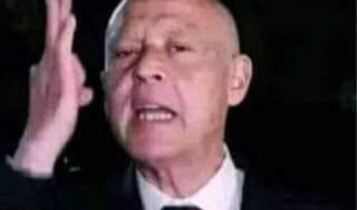 قيس سعيد يدّعي ، دون حجج ، أن « حملة انتخابية  ضد الدولة التونسية » تُدار من الخارج