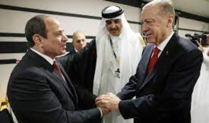 عبد الفتاح السيسي و رجب طيب أردوغان يتفقان على تبادل السفراء بين مصر و تركيا