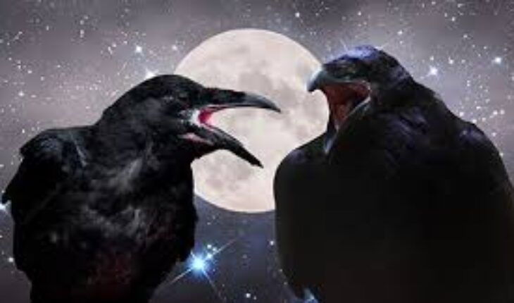 Le rapace et les corbeaux