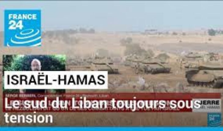 Deux membres du Hamas tués lors d’une frappe israélienne dans le sud du Liban