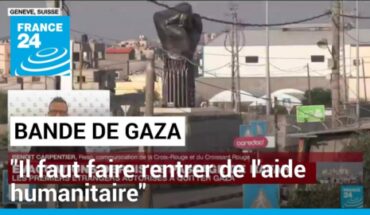 Le Comité international de la Croix-Rouge appelle à l’acheminement immédiat des aides à Gaza Le Comité international de la Croix-Rouge appelle à l’acheminement immédiat des aides à Gaza