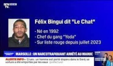 L’un des plus grands narcotrafiquants marseillais a été arrêté par les autorités marocaines L’un des plus grands narcotrafiquants marseillais a été arrêté par les autorités marocaines