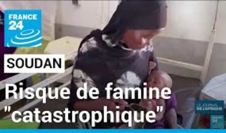 Soudan : cinq millions de personnes menacées de famine