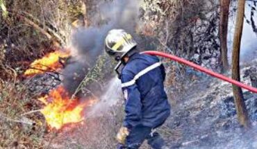 Des équipes de pompiers tunisiennes et algériennes éteignent des feux de forêt à la frontière des deux pays