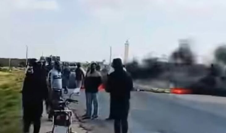 احتقان في صفوف الفلاحين و توقف عملية جني الزيتون بالقيروان