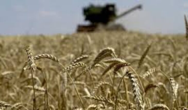 Baisse des exportations russes de céréales
