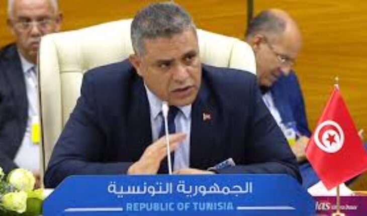 وزير الداخلية يقول : تونس ترفض بشكل قطعي أن تكون أرض استيطان أو لجوء ولن يُسمح باستغلال أراضيها كمنطقة عبور