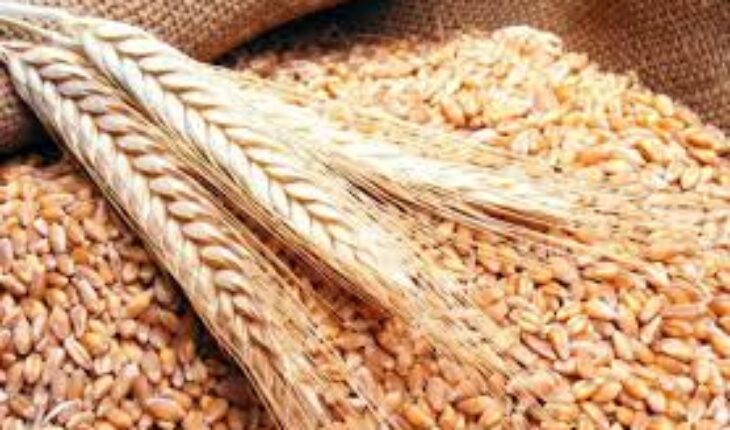 العراق يقرر التبرع لتونس بـ50 ألف طن من الحنطة