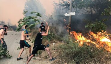 Algérie : Tebboune decrète un deuil national après les incendies forestiers qui ont fait au moins 12 morts