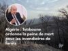 Le calife Tebboune regarde la Kabylie comme Néron contemplait Rome sous l&rsquo;éclat de ses feux.